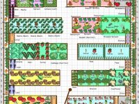 Gardening Tips Week 1: Planning Your Plot