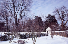 George Washington's garden at Mount Vernon in winter. (Photo by Carol M. Highsmith, Public Domain, via Wikimedia Commons)