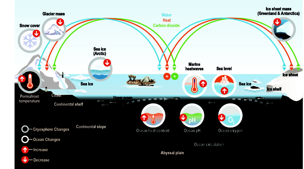Schematic illustration of key components and changes of the ocean and cryosphere, and their linkages in the Earth system through the global exchange of heat, water, and carbon (