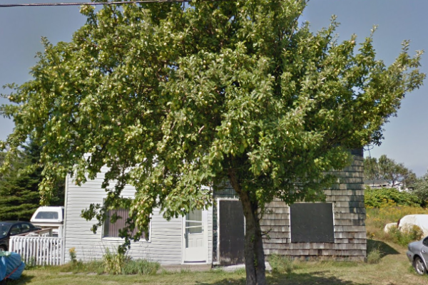 359/361 Fourteenth Street, New Waterford (Google Street View August 2012)